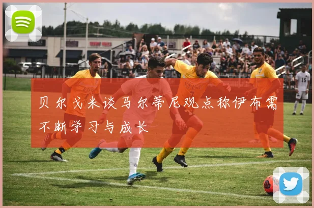 贝尔戈米谈马尔蒂尼观点称伊布需不断学习与成长