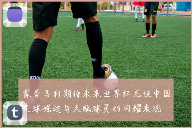 蒙哥马利期待未来世界杯见证中国足球崛起与天赋球员的闪耀表现